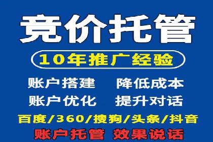 谷歌竞价广告与SEO结合的营销案例解析
